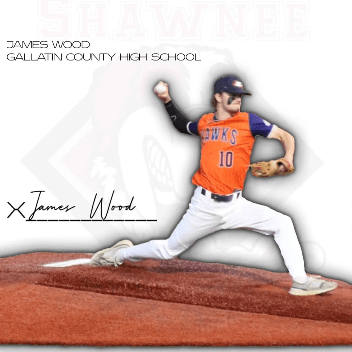 James Wood